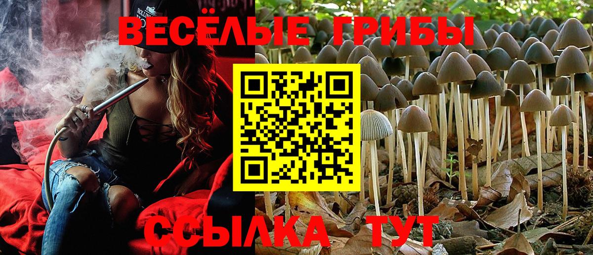 Галлюциногенные грибы GOLDEN TEACHER Джанкой
