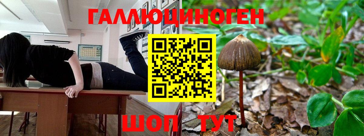 Псилоцибиновые грибы ЛСД  Вход с VPN  Псилоцибиновые грибы ЛСД  Джанкой 